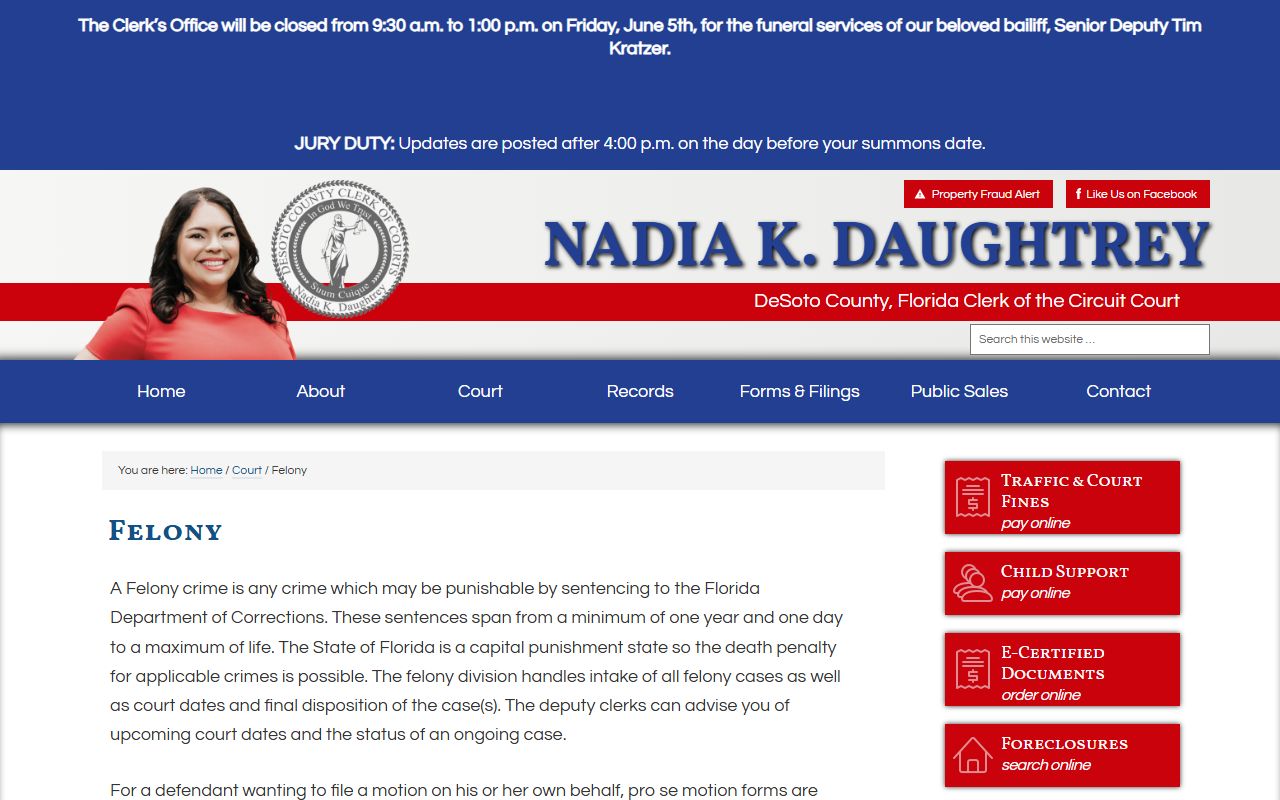 DeSoto County Clerk felony court records page after an arrest